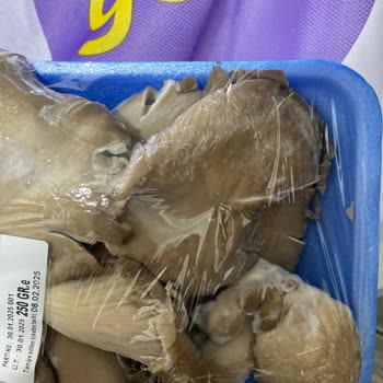 Küflenmiş İstiridye Mantarı Ve İade Talebi