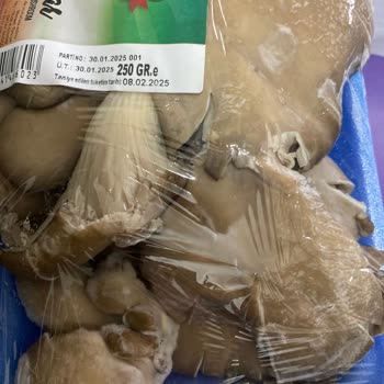 Küflenmiş İstiridye Mantarı Ve İade Talebi