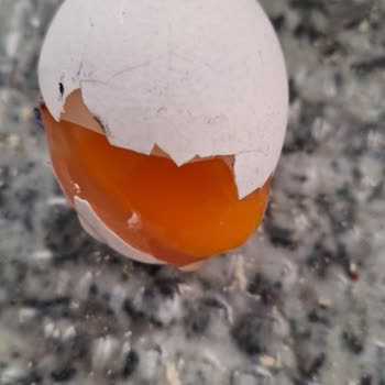 Kırık Yumurta Kolisi Şoku: 3 Hasarlı Yumurta