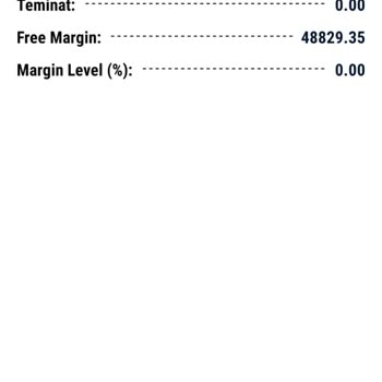 Mega Yatırım Paranın Hesabıma Geçeceği Yalanını Söylemeye Devam Etti