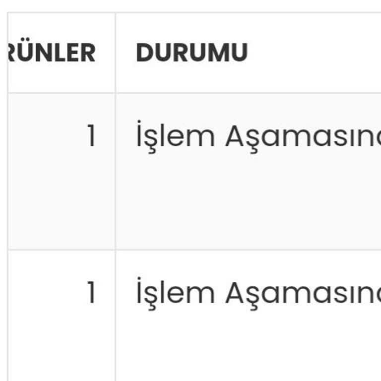 Altın Havalesi Gecikmesi