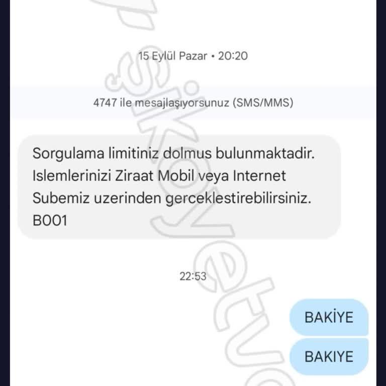 Bakiye Sorgulama Limit Sorunu