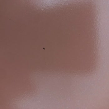 Neoflam Tencerelerde Boya Sorunu Ve Kullanım Zorluğu