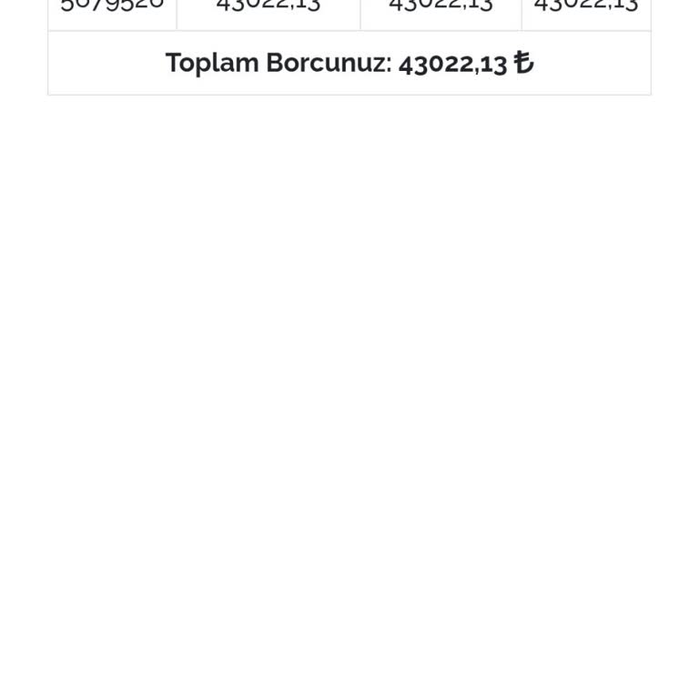 Borç Yönetiminde Bilgi Eksikliği Ve Artan Maliyetler