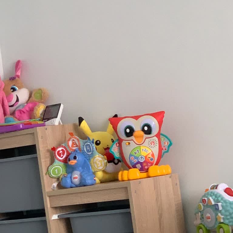 Fisher-Price Oyuncaklarında Garanti Sorunu