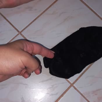 Boyner'den Aldığım Ayakkabı Ayağımı Yaraladı, 4 Aydır Çözüm Yok!