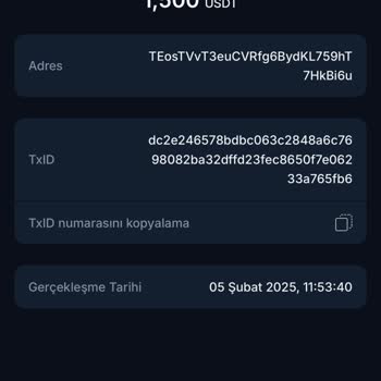 Yatırımda Çıkmaz: Çekim Yapamama Sorunu