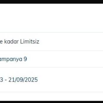 Türk Telekom'un Sürekli Kesilen İnterneti İşimi Tehlikeye Atıyor