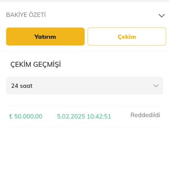 Ödeme Sorunu Ve Hesap Engeli