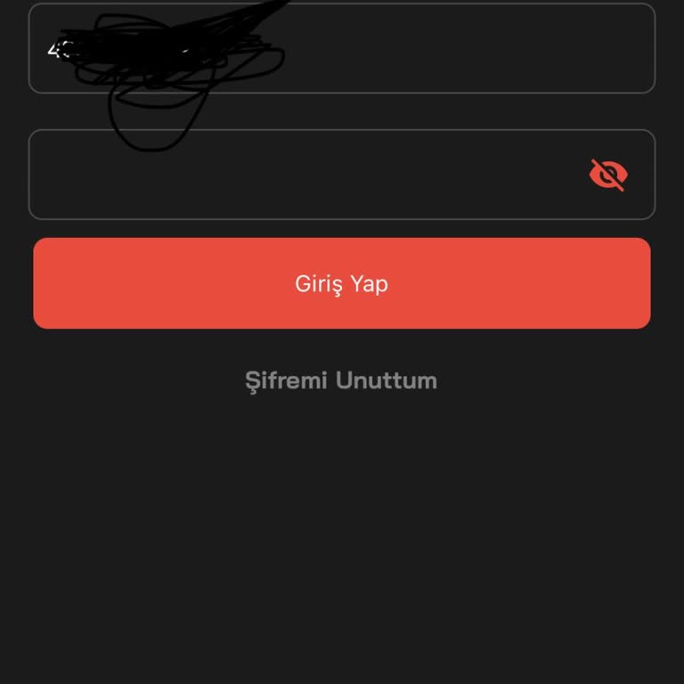 Bloke Olan Hesabım İçin Acil Yardım Talebi
