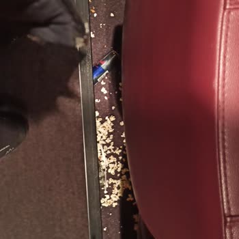 Hijyen Sorunlarıyla Dolup Taşan Sinema Deneyimi