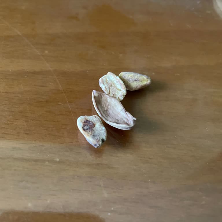 Amigo Marka Antepfıstığı İadesinde Sorun Yaşadım