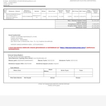 V12 Slim Süpürge İle Yaşanan Şarj Ve Müşteri Hizmetleri Sorunu
