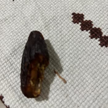 Tadım Hurması Hayal Kırıklığı