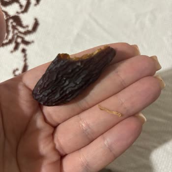 Tadım Hurması Hayal Kırıklığı