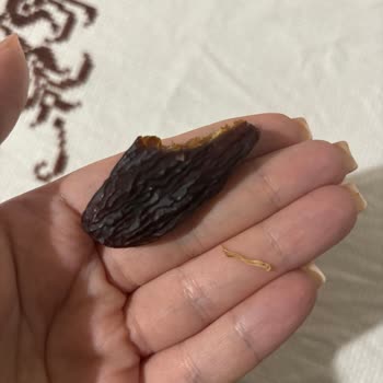 Tadım Hurması Hayal Kırıklığı