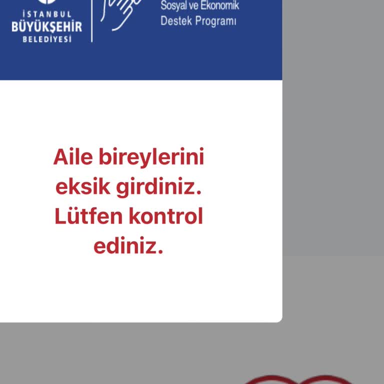 İstanbul Büyükşehir Belediyesi Yenidoğan Yardımı Başvurusunda Eksik Bilgi Hatası
