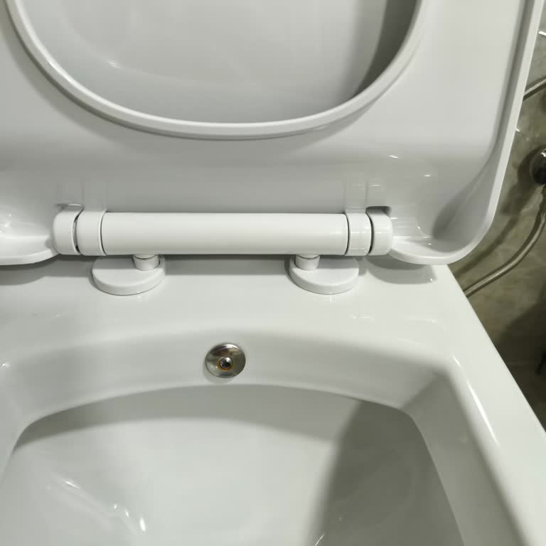 Creavit Klozet Kapağı Sorunu