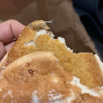 Burger King Kids Menüden Çıkan Tavuk Tüyü Şoku!