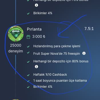 7Slots Pırlanta Statüsünde Hızlandırılmış Çekim Hayal Kırıklığı