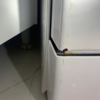 Beko Bulaşık Makinesi Servis Kabusu