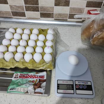 Erzincan Hiraoğulları Tavukçuluk Yarı Yarıya M Boy Yumurta Koyulmuş L Boy Koli İçine!