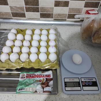 Erzincan Hiraoğulları Tavukçuluk Yarı Yarıya M Boy Yumurta Koyulmuş L Boy Koli İçine!