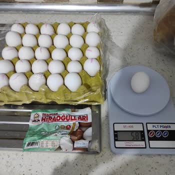 Erzincan Hiraoğulları Tavukçuluk Yarı Yarıya M Boy Yumurta Koyulmuş L Boy Koli İçine!