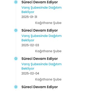 Kargoist'in Teslimat Kabusu: 13 Günlük İstanbul Macerası