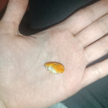 Marketten Alınan Cips Paketinde Beklenmedik Sürpriz