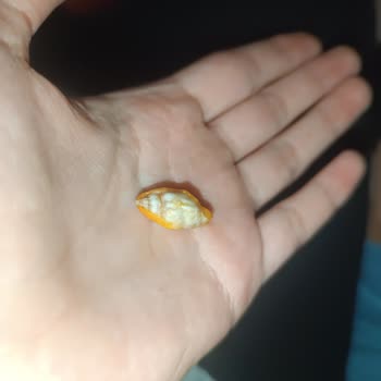 Marketten Alınan Cips Paketinde Beklenmedik Sürpriz