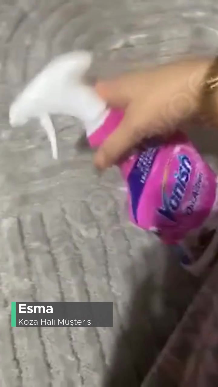 Koza Halı İstenmeyen Halı, Yardımcı Olmadılar! videonun kapak resmi
