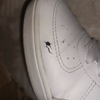 Puma Ayakkabının Dayanıklılığı Ve Müşteri Hizmeti Sorunu