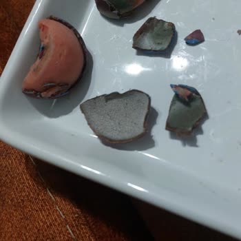 Bayat Çikolata Şoku