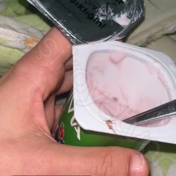 Danone Tikveşli Yoğurtun İçinden Küçük Sivrisinek Çıktı!