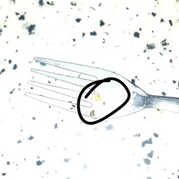 Noodle İçinden Çıkan Kurt Şoku