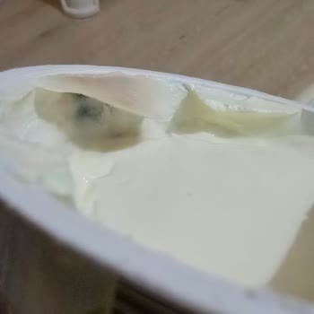 Son Kullanma Tarihi Geçmemiş Üründe Küf Şoku