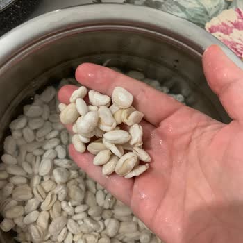 Kuru Fasulyede Kalite Sorunu