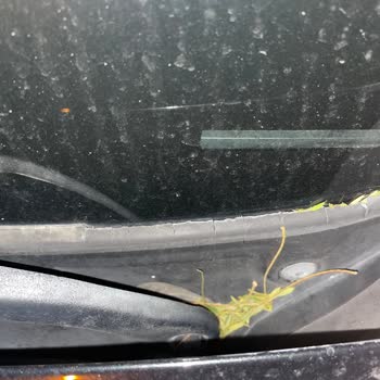 BMW Cam Fitili Problemi: Premium Araçta Beklenmeyen Kronik Sorun