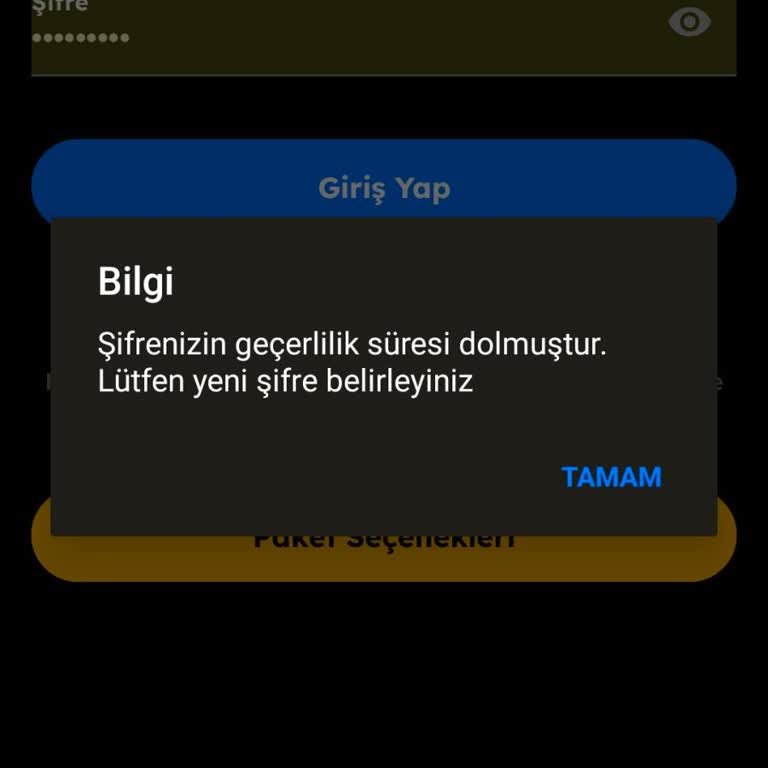 Sürekli Şifre Yenileme Sorunu