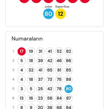 Çılgın Sayısal Loto'da Şeffaflık Sorunu