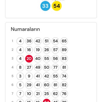 Çılgın Sayısal Loto'da Şeffaflık Sorunu