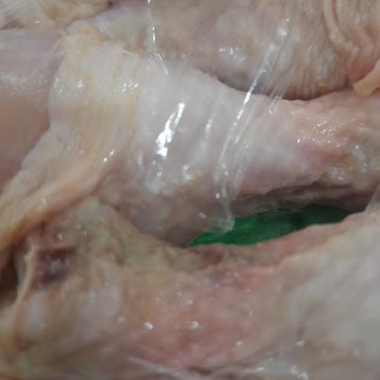 Bozuk Ürün Ve Yetersiz Müşteri Hizmetleri