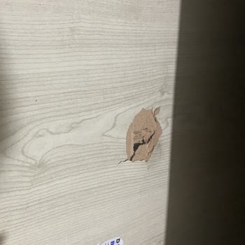 Hasarlı Mobilya Teslimatı Ve İletişim Sorunu