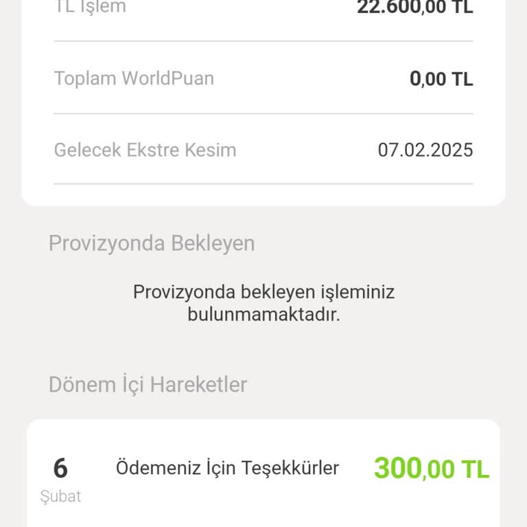 Ödenen Kredi Kartı Borcu Hesapta Görünmüyor