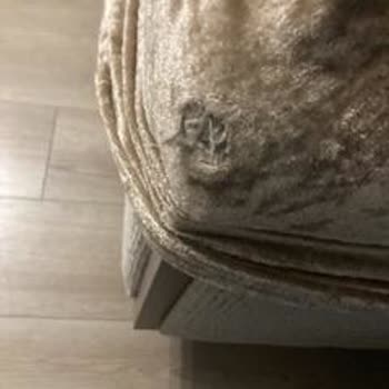 Çamlıca Evden Eve Nakliyat Müşteri Memnuniyetsizliği