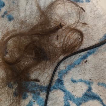 Fön Tarağı Saçımı Yaktı!