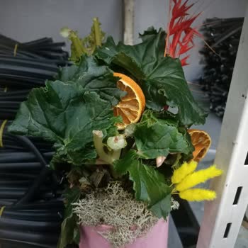 Yanıltıcı Sipariş Ve Yetersiz Müşteri Hizmeti