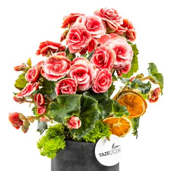 Yanıltıcı Sipariş Ve Yetersiz Müşteri Hizmeti