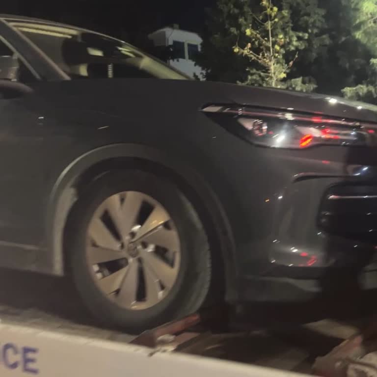 Kediler Kayışı Kopardı: Tiguan'da Güven Sorunu